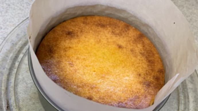 酒粕チーズケーキレシピ 率直な感想
