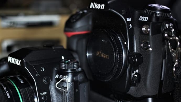 Nikon:夜撮影のてさぐり操作