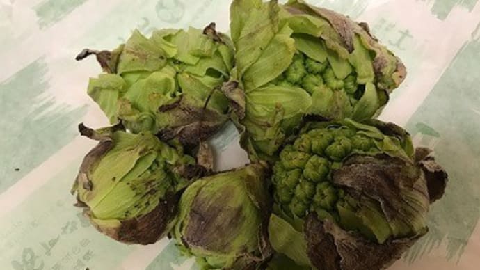 ちょっと足をのばして！（２）