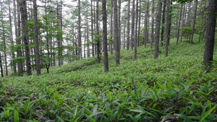 日向山頂上は徐々に雲が晴れて・・・