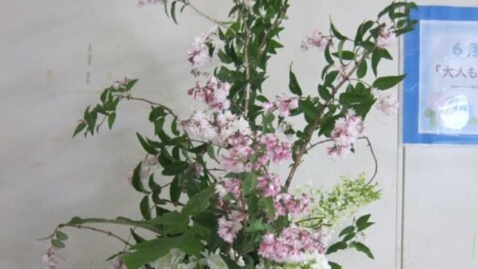 篠窪(しのくぼ)の隣町 花芸安達流 北澤様の生け花「サラサウツギの不思議な花」(2025/06/03)