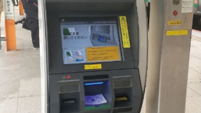 初めてのスイカでグリーン