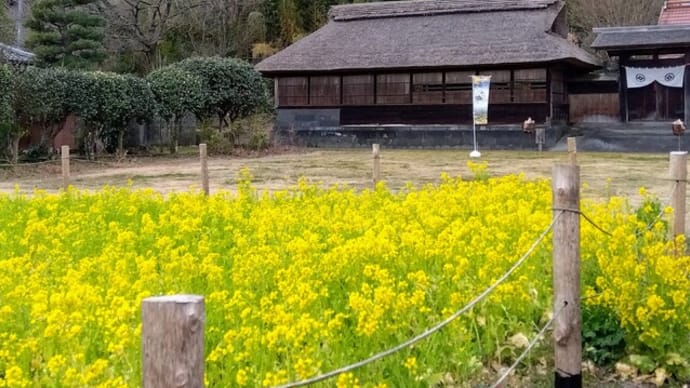 小川のせせらぎ