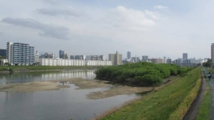 広島・太田川をテクテク散歩・・・今日は大芝水門コース 川面から吹く風が気持ちいいです