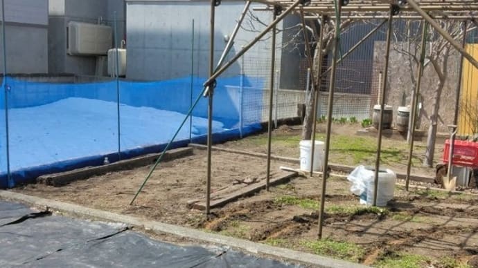 雪解け、キツネ対策、肥料やり