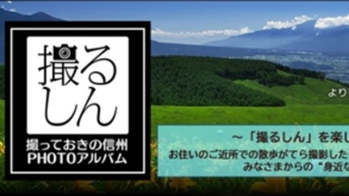 「撮るしん」オリジナルカレンダーを作る