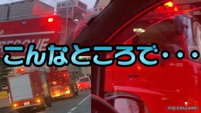 救助活動の場面に😨中央消防署 特別高度救助隊!【緊急走行】消防車のサイレン…だけが💦