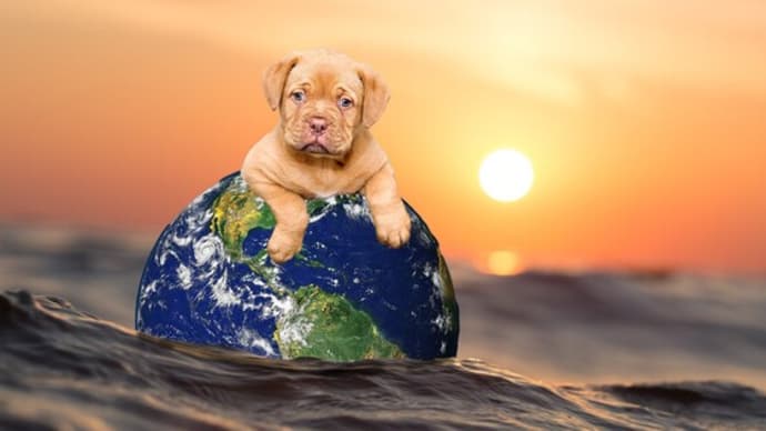 波乗りの犬~Photoshop Elements