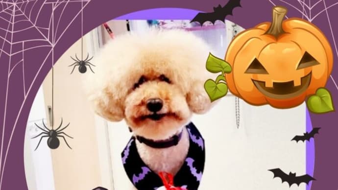 🐩 ボクは💜 🦁ライオン・キング・オー・ランタン🎃 🎵