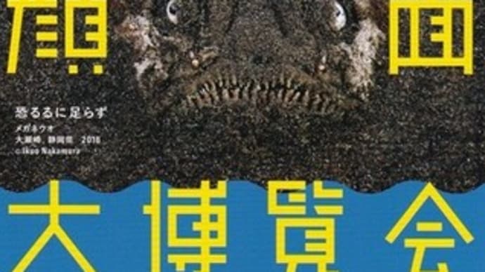 「海中顔面大博覧会/中村征夫」／フジフィルムスクエア