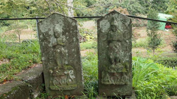 館林市高根町 稲荷神社 青面金剛像