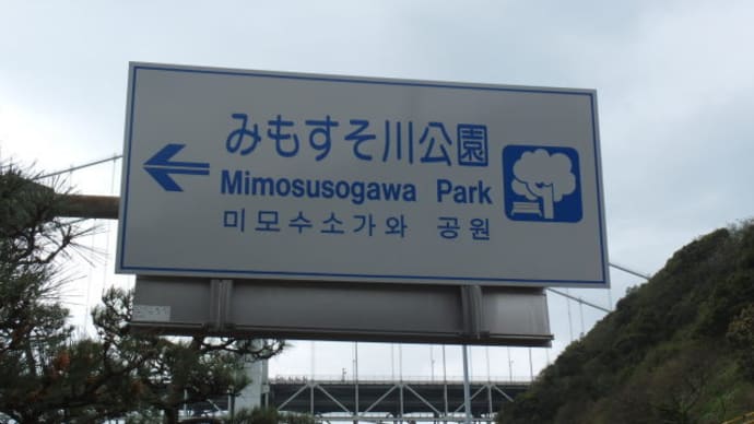 いとこ会
