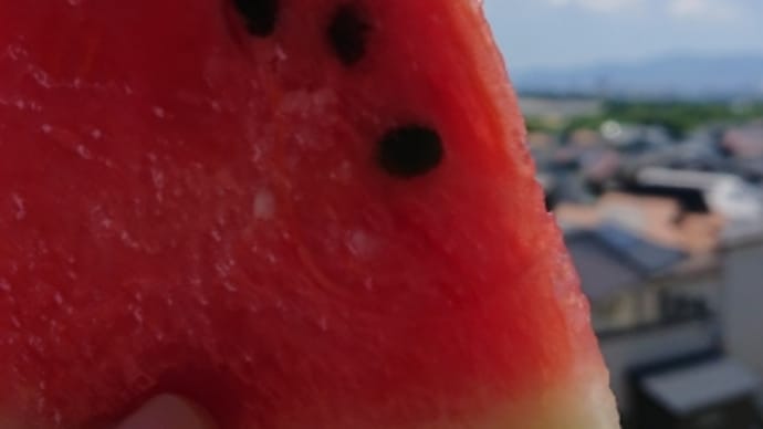 夏休みのような