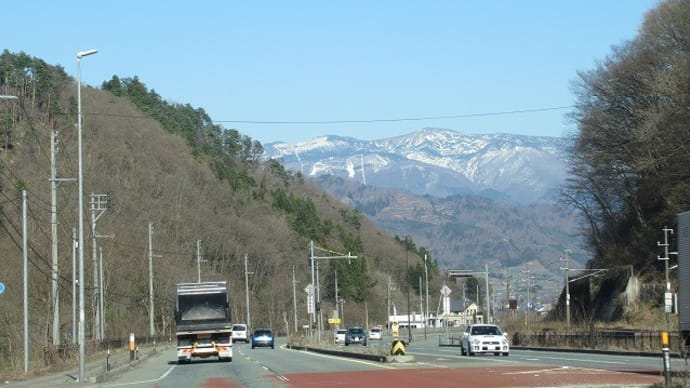 桜を求めて~上山城