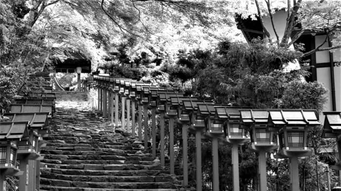 「貴船神社・京都」 剪画(切り絵)下絵