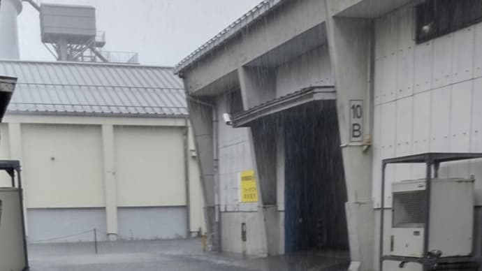 朝からヤバいですよ