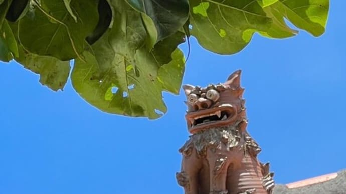 小浜島の旅