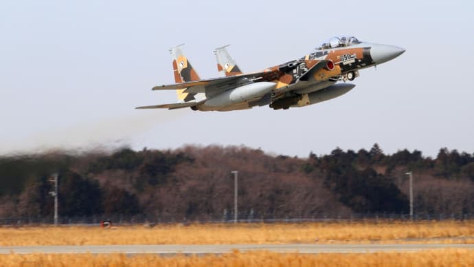 航空自衛隊 「 F-15DJ 」 ( 飛行教導群 教導隊 / 72-8090 ) 2014年2月 百里基地