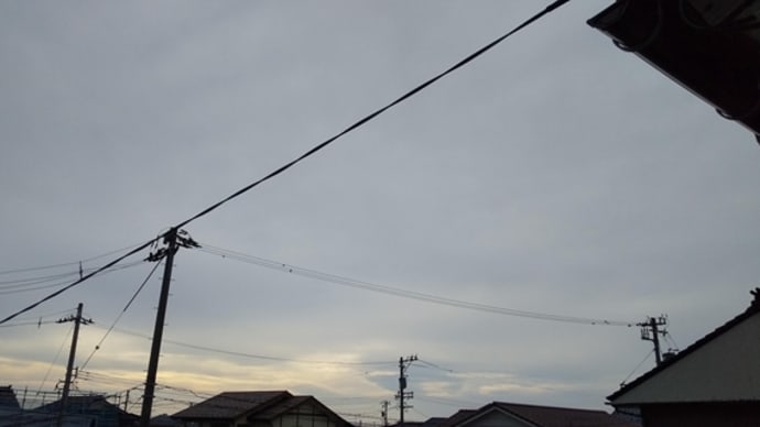 変異株に対応 スーパー中和抗体を開発!