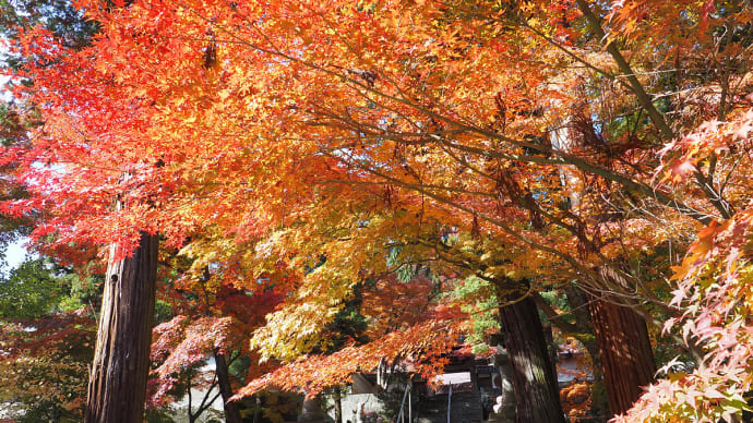 紅葉の古刹・千曲市稲荷山の桑原山 龍洞院で燃える秋に酔う。登録有形文化財の龍洞院架道橋(妻女山里山通信)