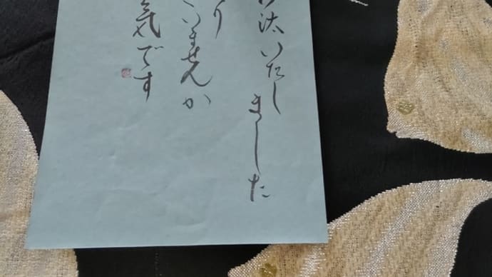 大変長らくのご無沙汰を致しました