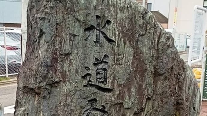 お花見3(水道みち緑道)