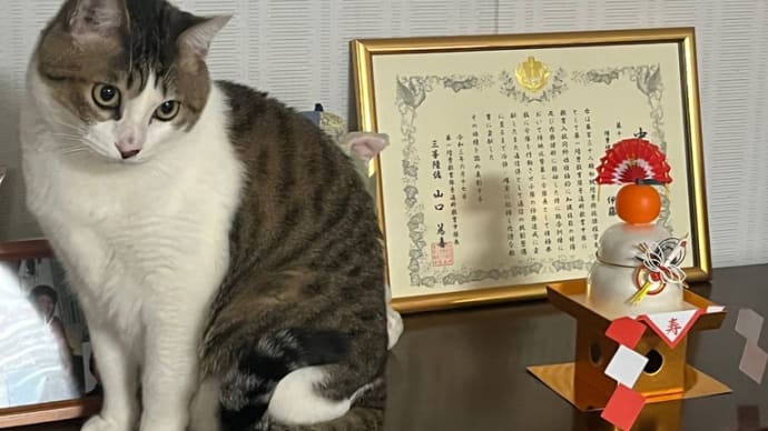 コテblog🐈🎍🐈🌅🐈🎍