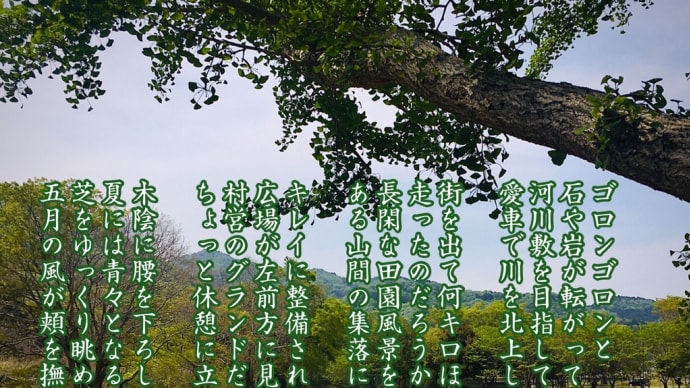 五月の風が頬を撫ぜた / ラグの写真詩