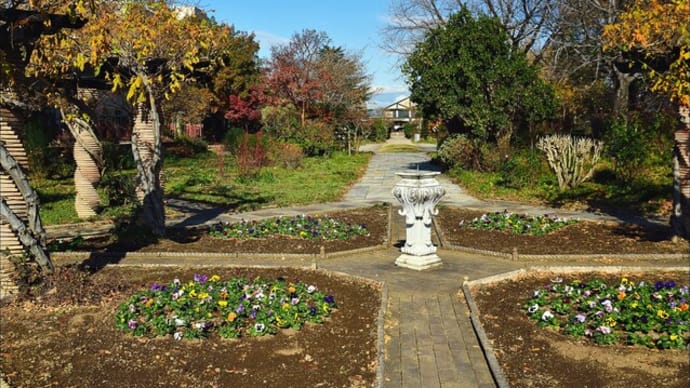 「エアリスの小さな森公園」の紅葉(2の2)