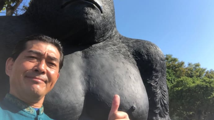 ゆめ花大道芸2020は山口県和木町蜂が峰総合公園で実施しました♫