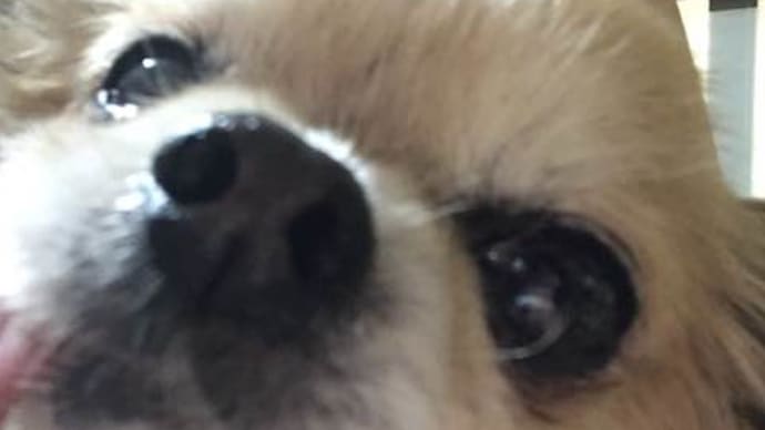 おはようございます😊