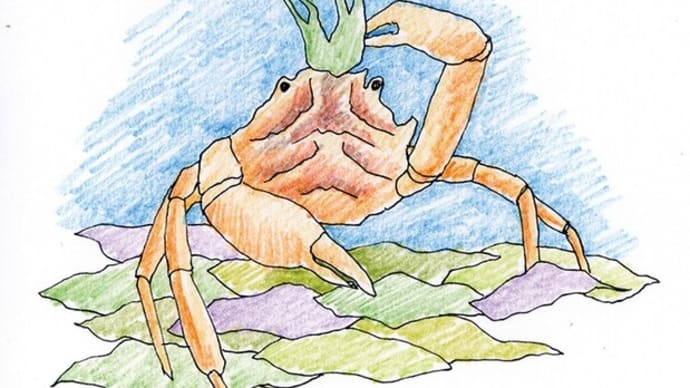 2013年08月15日習作模写等アナログヨツハモガニイラスト。さいはてりと。