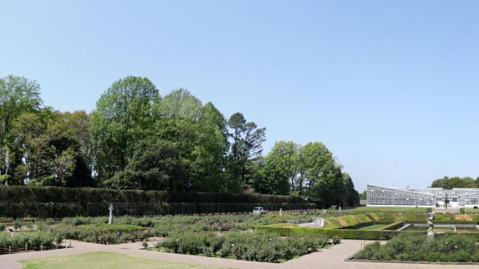 4月の神代植物公園