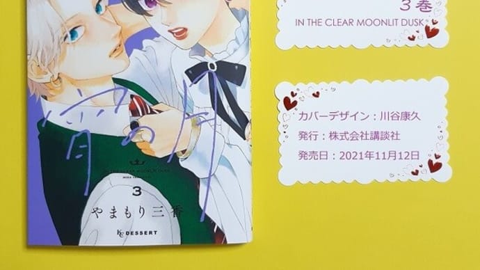 第3の王子登場!『うるわしの宵の月』3巻あらすじネタバレ感想。カッコよさにキュン増量!