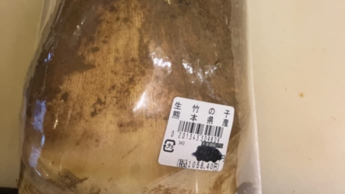 筍初仕入れ