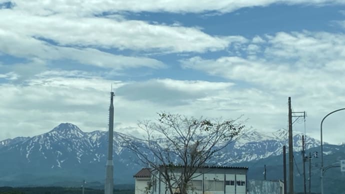 白茶灰茶緑からのブー 新潟の湯旅 燕温泉 花文 NO1111