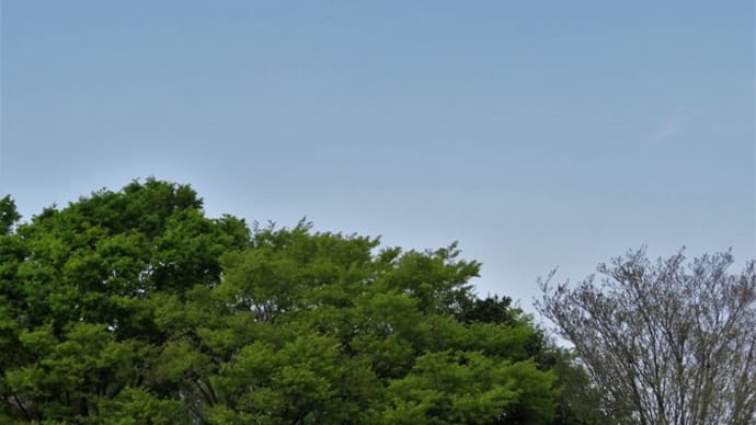 今日から4月ですね。