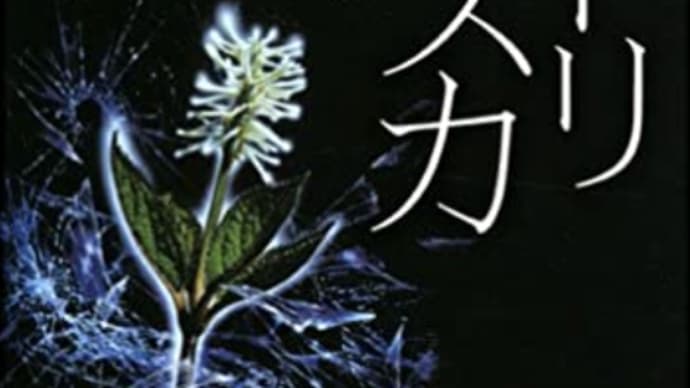 大人が作り出す子への悪環境『ヒトリシズカ』