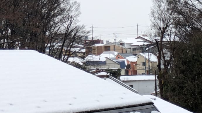 雪見散歩