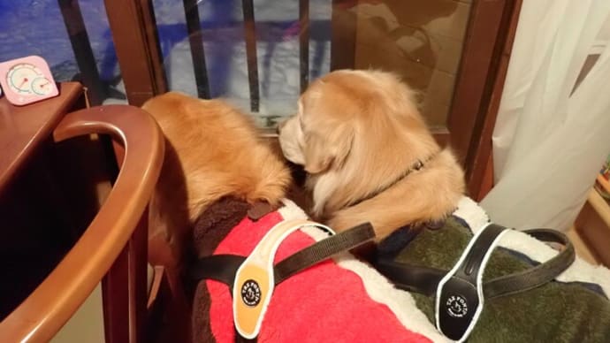 後ろ髪をひかれる思いで