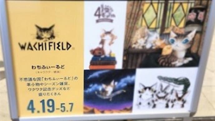 【2023年4月19日から5月7日まで】 わちふぃーるど