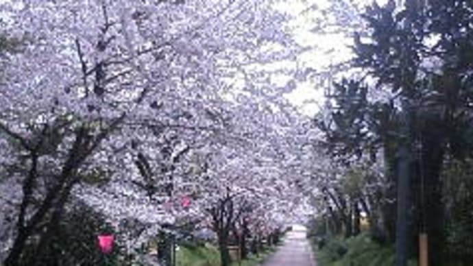 初めてのお歳暮・・