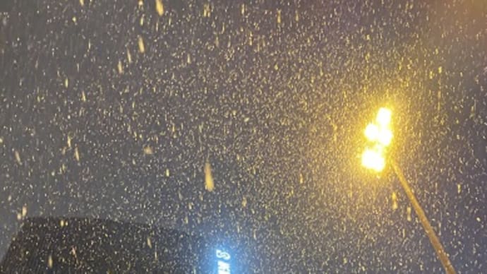 今シーズン初めての雪❆