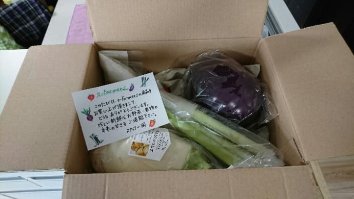 【マルシェルモニター】*夏野菜セット*たきざわグリーン500g長野県産&新東京野菜ナス各1本