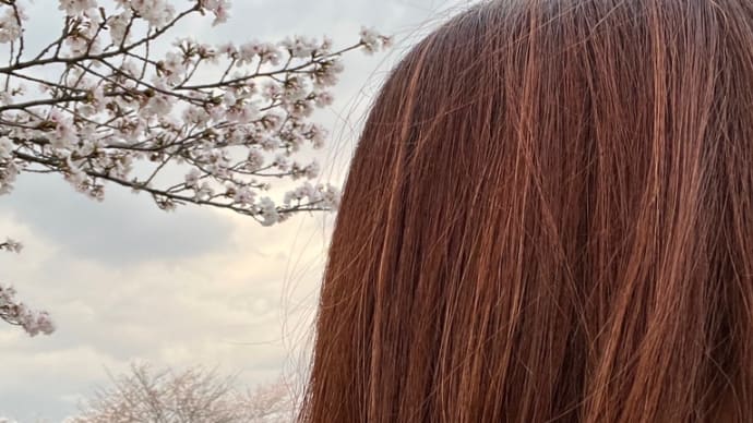 久しぶりのgoo blog 投稿してみる にゃんずは元気です