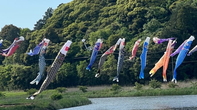 橘ふれあい公園のこいのぼり