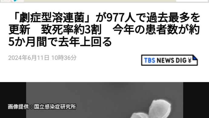 人食いバクテリアに勝つ呪符。人食いバクテリアで死にたくなければどうぞ。木星の魔女