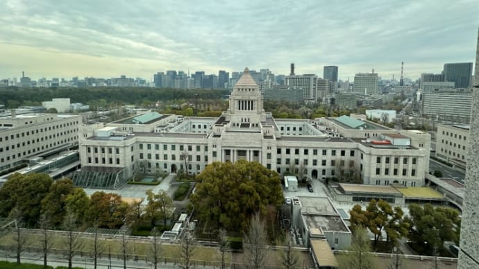 年金法改正案は金曜日にも提出へ、衆参とも審議は見せ場ないのに、やや遅れペース続く