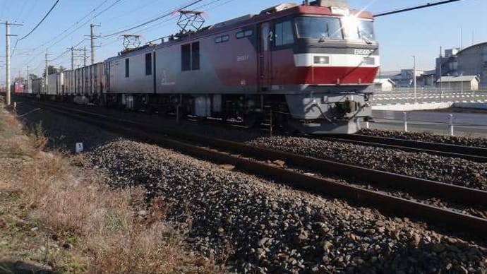 2021年12月オールドコンデジで花を探しながらウォーキングしてきた。