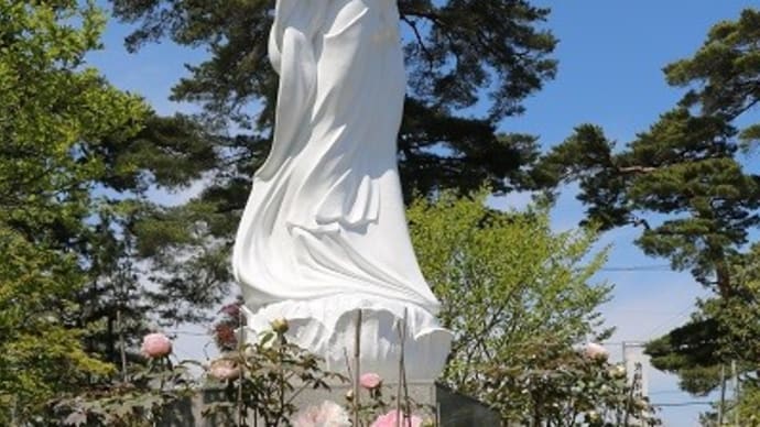 4/24 (土)須賀川牡丹園